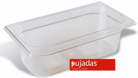 Vascheta policarbonat, GN 1/3, P1310C1, PUJADAS#1