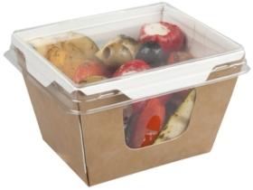 Caserole -Small Fuzione ‘Finestra’ pot & plastic lid -500 ml 01FFNPK COLPAC#1