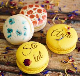 Masina imprimat torturi/prajituri, VULPES, IMAGO#5